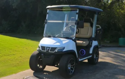 Electric vs Gas Utility Task Vehicles: Buyer’s Guide