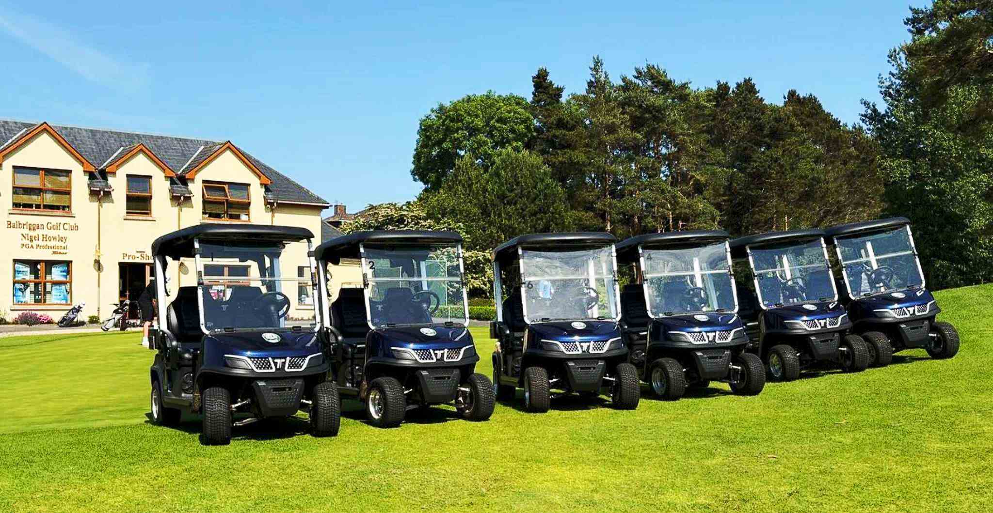 Tara Best Golf Buggy for Course and Resort Use