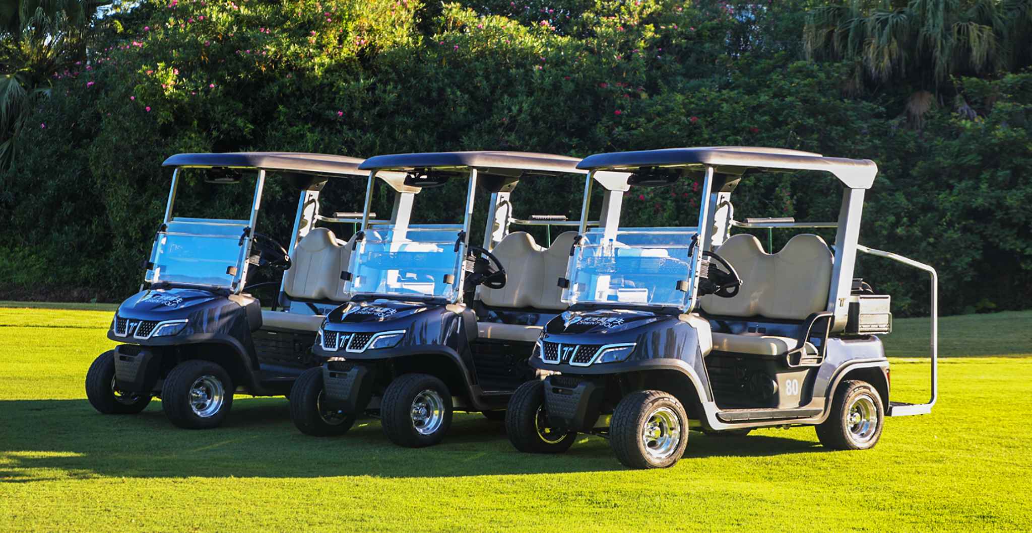 Tara 6 Seater Utility Task Vehicle