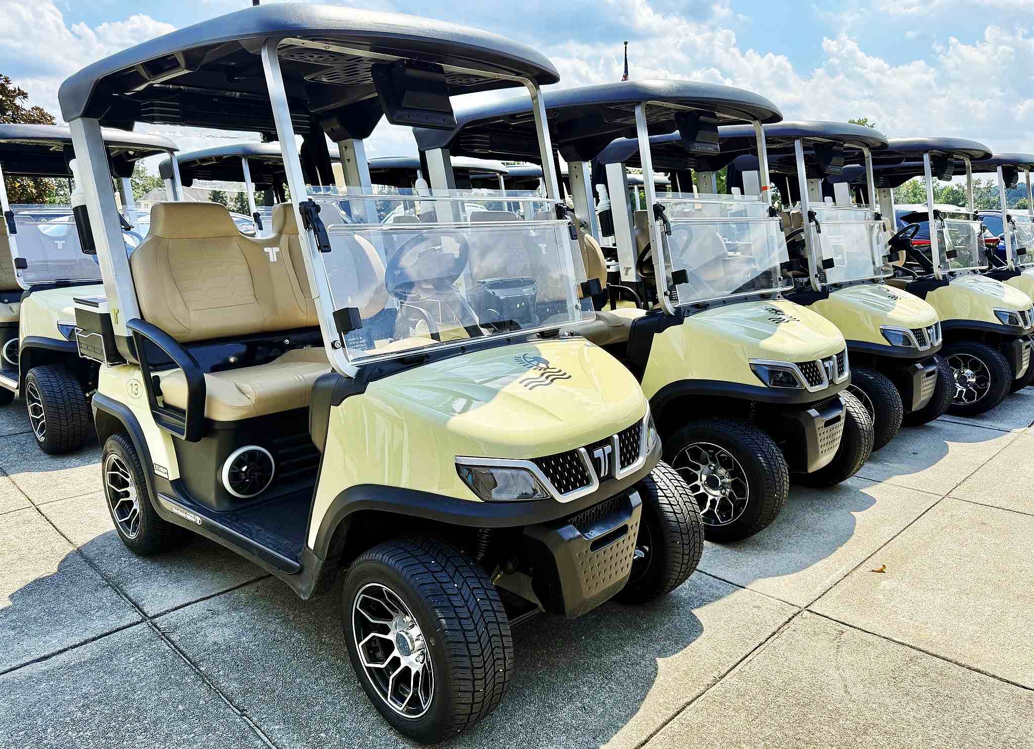 Smart Golf Course Management with Electric Carts