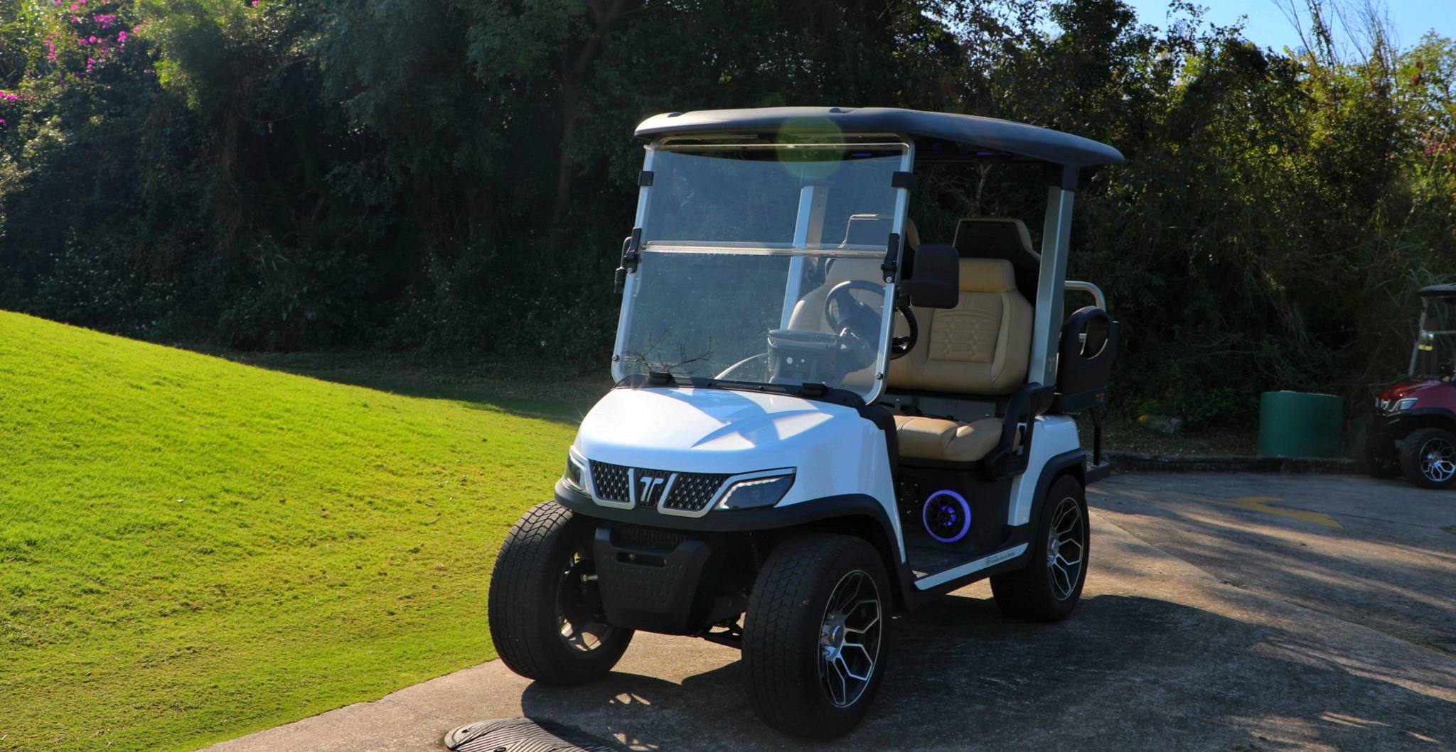 electric-hunting-carts