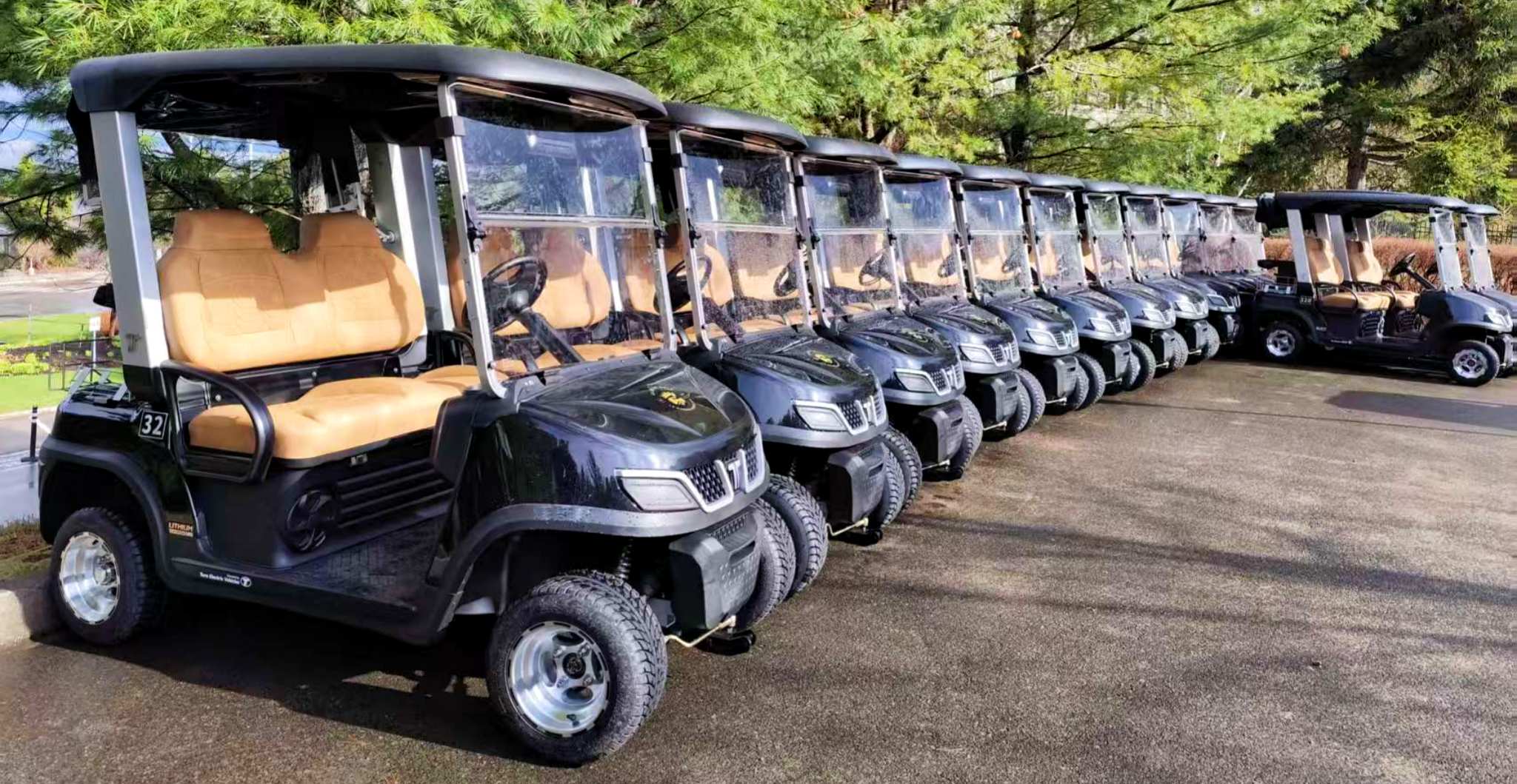 Tara GPS Utility Task Vehicle Fleet Traffic Management