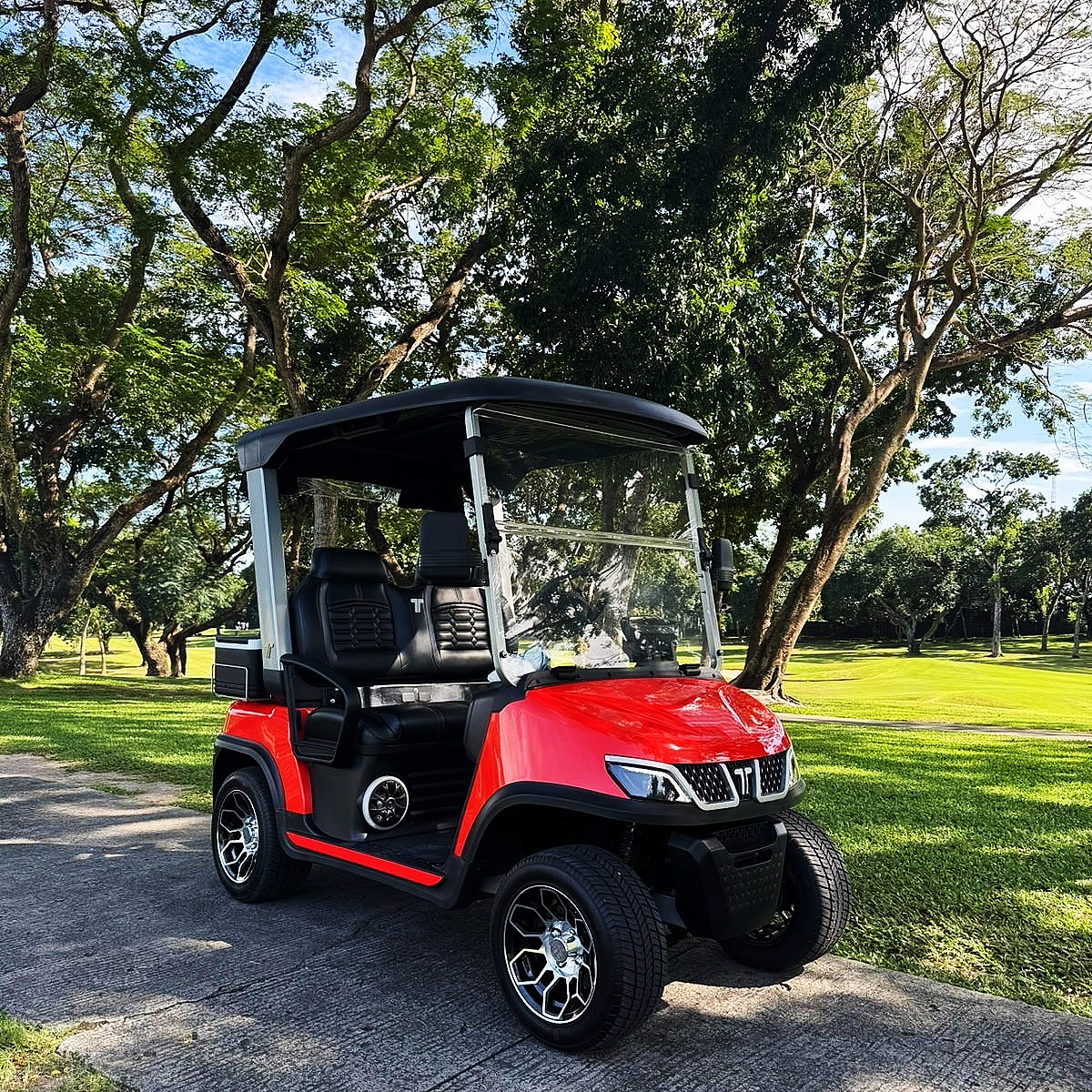 tara electric golf car