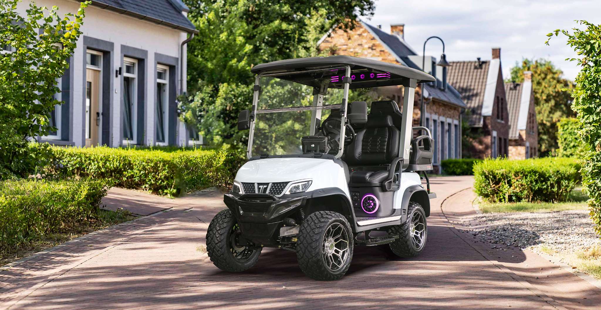 TARA Utility Task Vehicles (UTV) Powered by Electric Motor