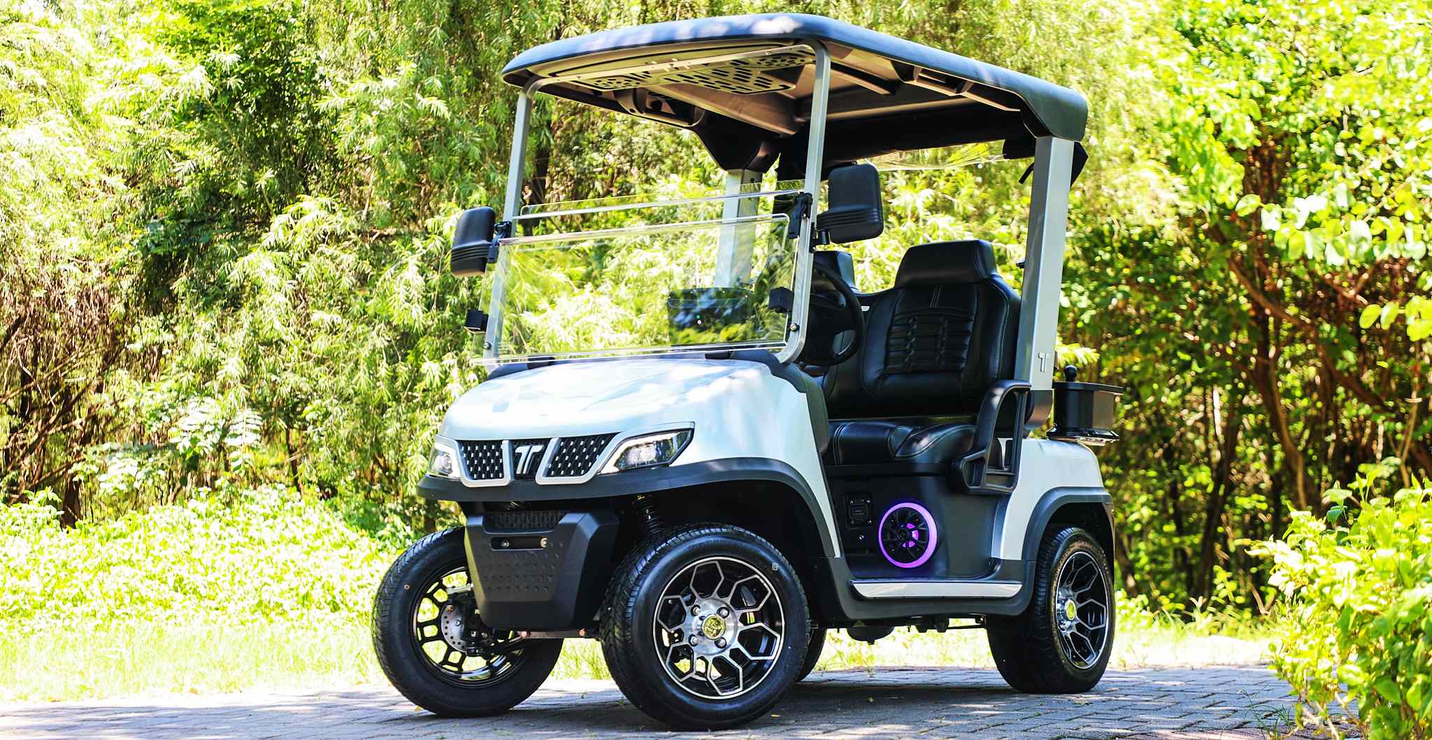 Tara Spirit Plus Golf Car on Egyptian Course