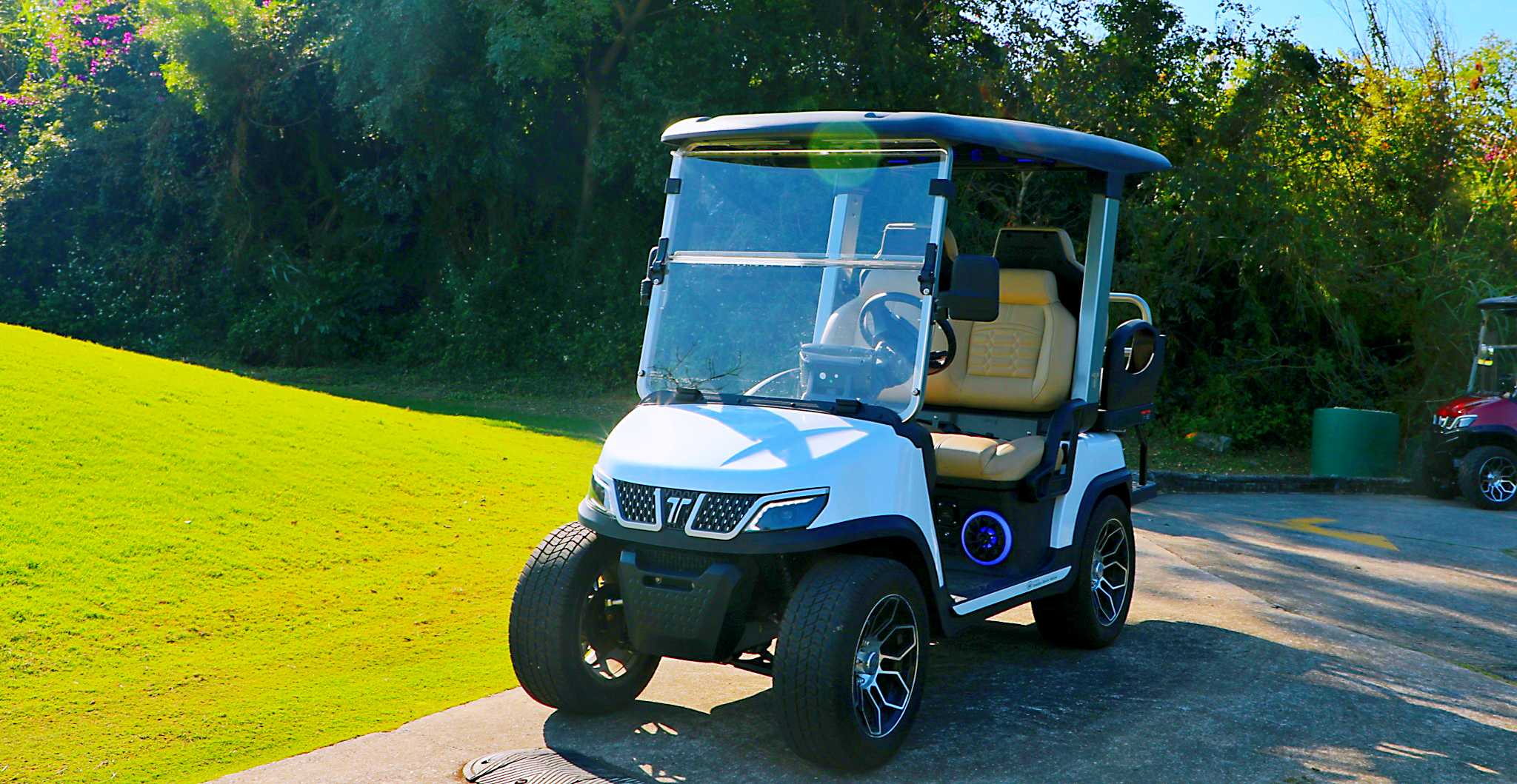 Tara 4 Seat Electric Utility Task Vehicle Alternative to Go Karts
