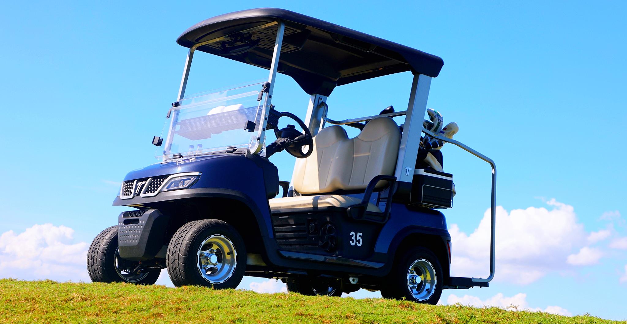 Tara Brand New Utility Task Vehicle – High Performance Electric Model