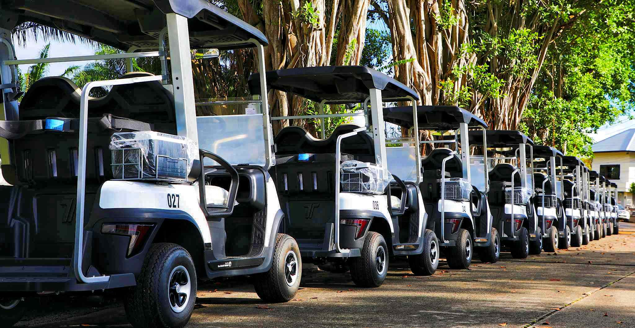 electric-golf-buggies-golf-course-tara