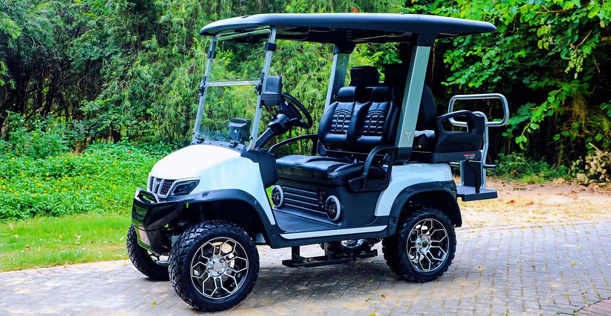Tara 4 Seater Utility Task Vehicle in Scenic Environment