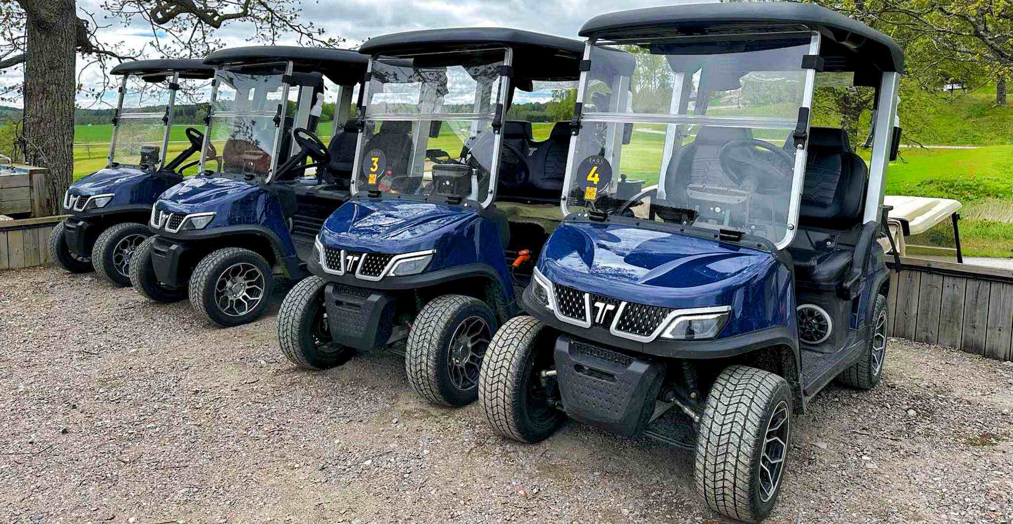 tara-2-seat-golf-cart