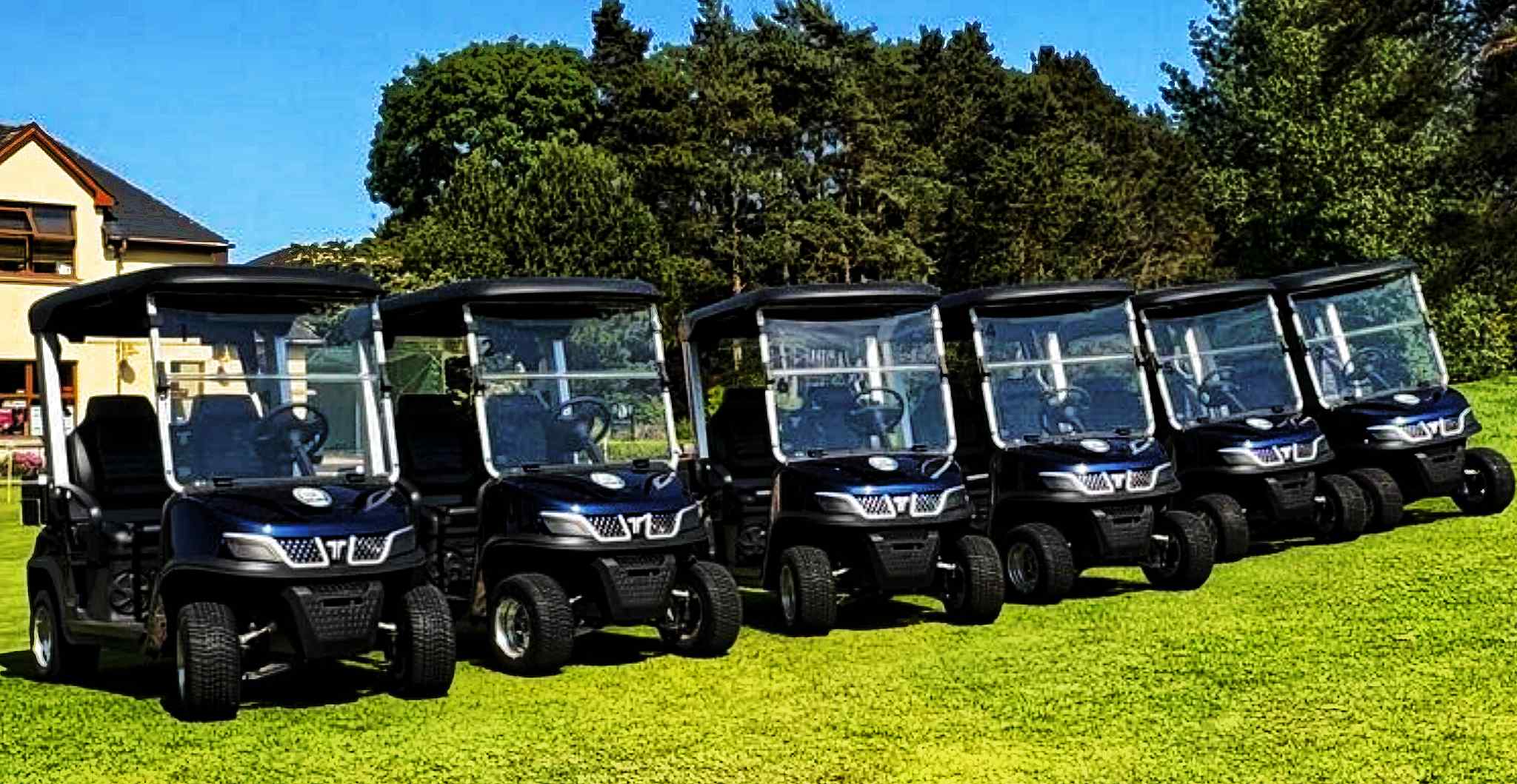 Electric Utility Task Vehicle Service on Golf Course