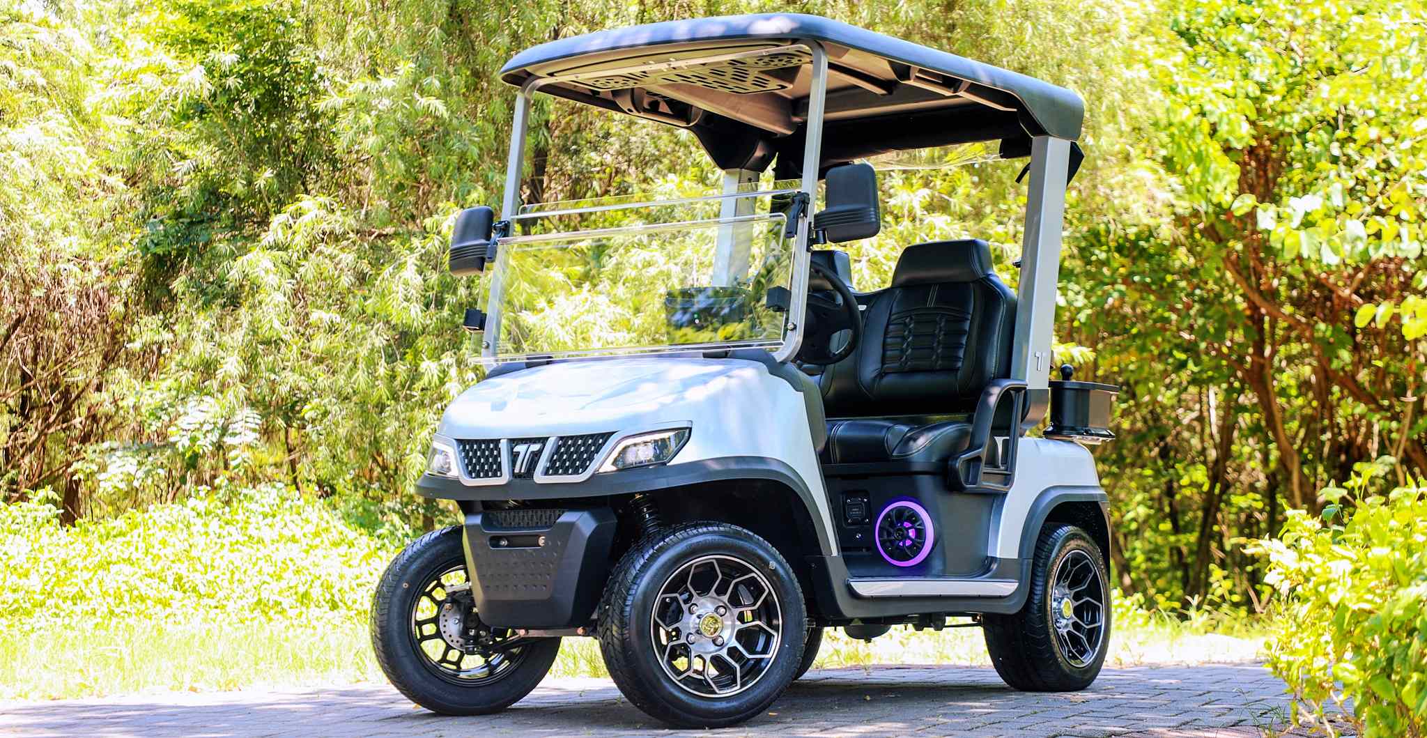Street Legal LSV Utility Task Vehicle