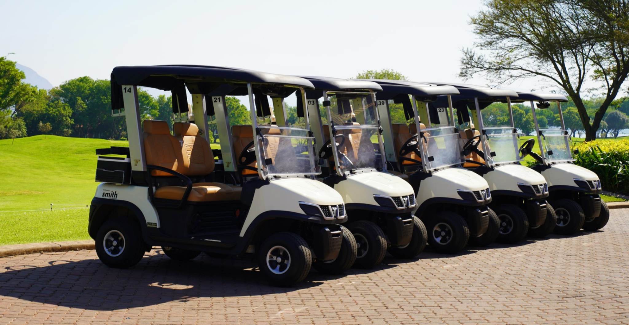 tare-electric-golf-cart-on-golf-course