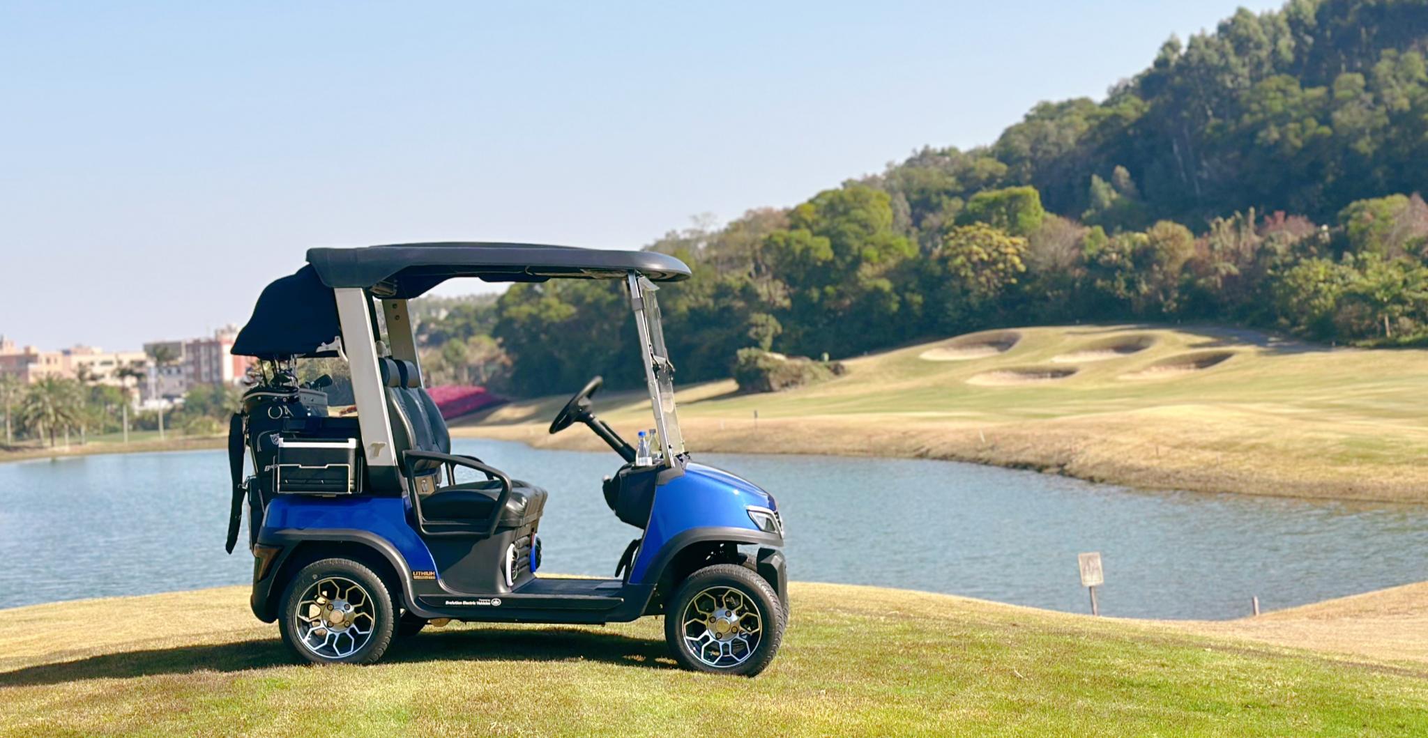 Cheap Golf Buggies for Sale