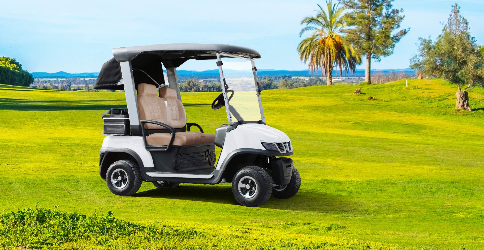TARA Utility Task Vehicles (UTV) Electric Car Builder Options