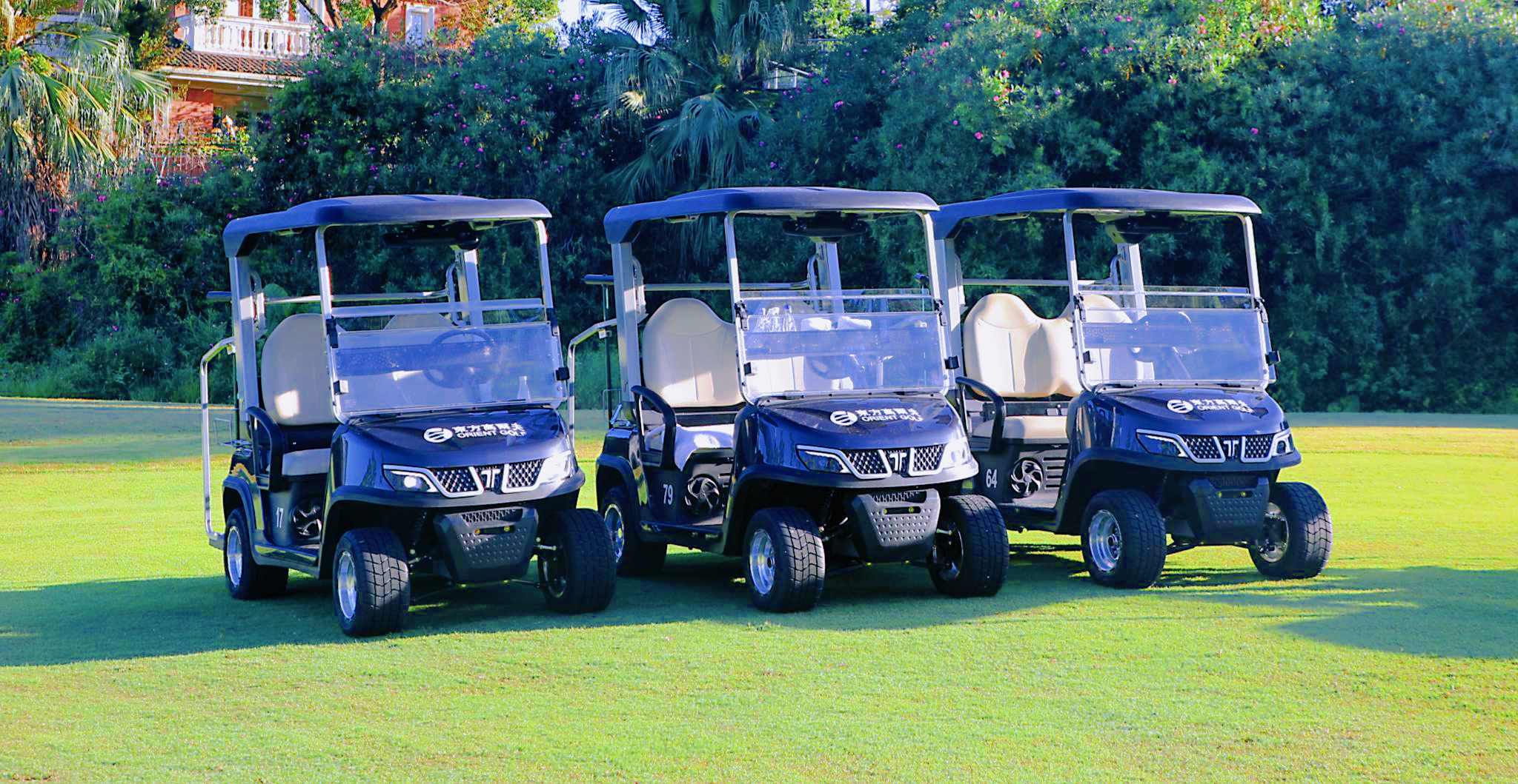 TARA Utility Task Vehicles (UTV) Fleet for Rental Business