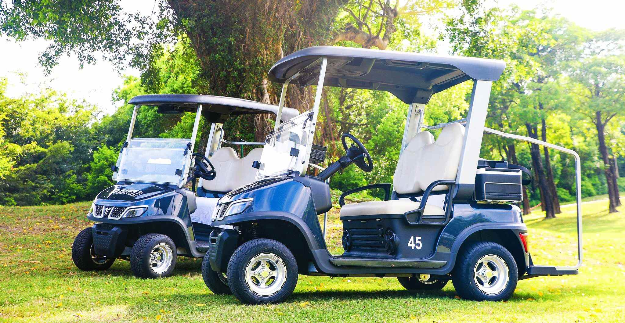 Tara Enclosed Electric Utility Task Vehicle with Advanced Features