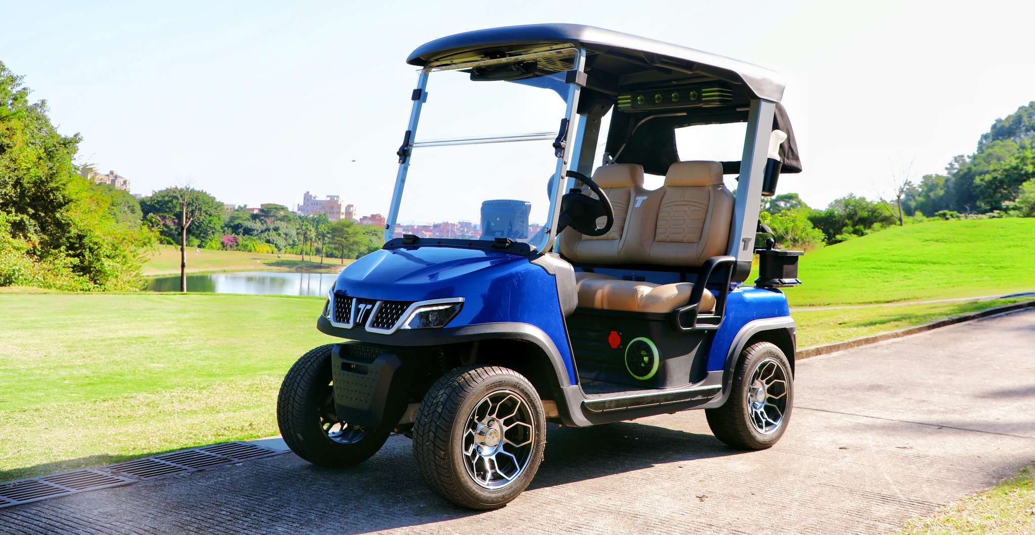 how-to-drive-a-golf-cart-electric-model