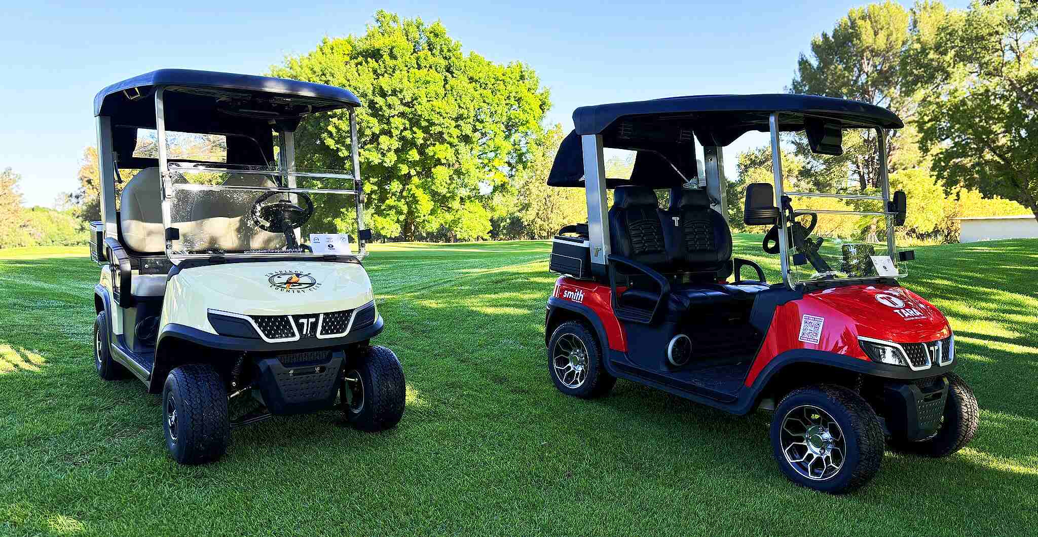 Tara Durable Utility Task Vehicle Bodies for Electric Carts