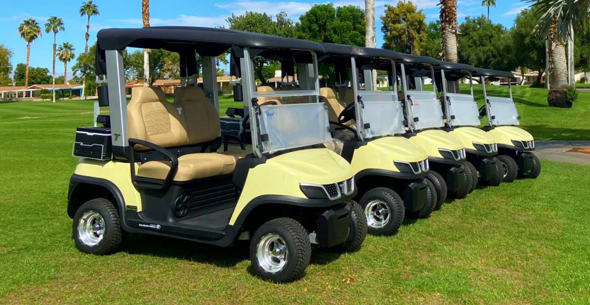 Lithium Utility Task Vehicle Fleet Management