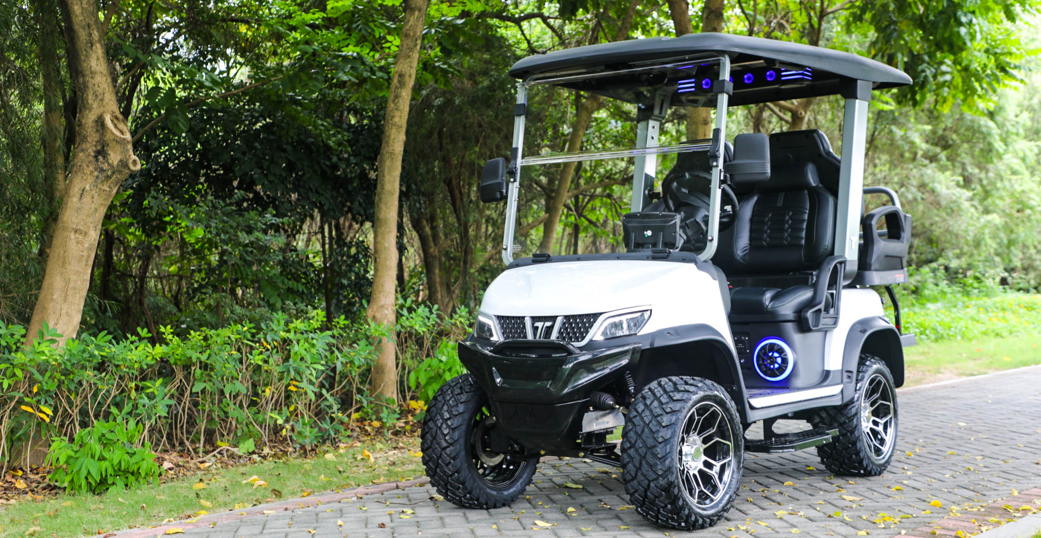 tara utility task vehicle lsv