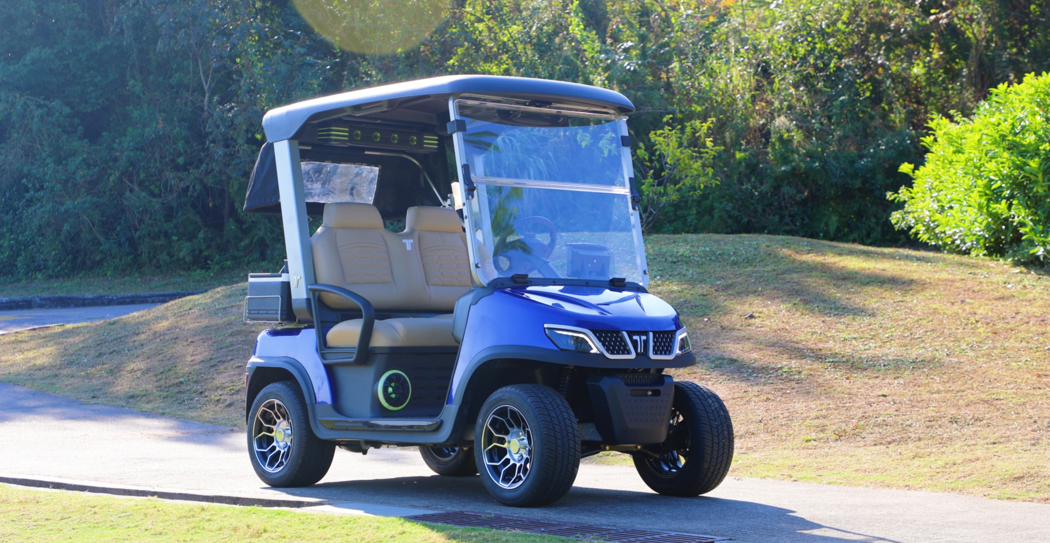 tara utility task vehicle for golf course