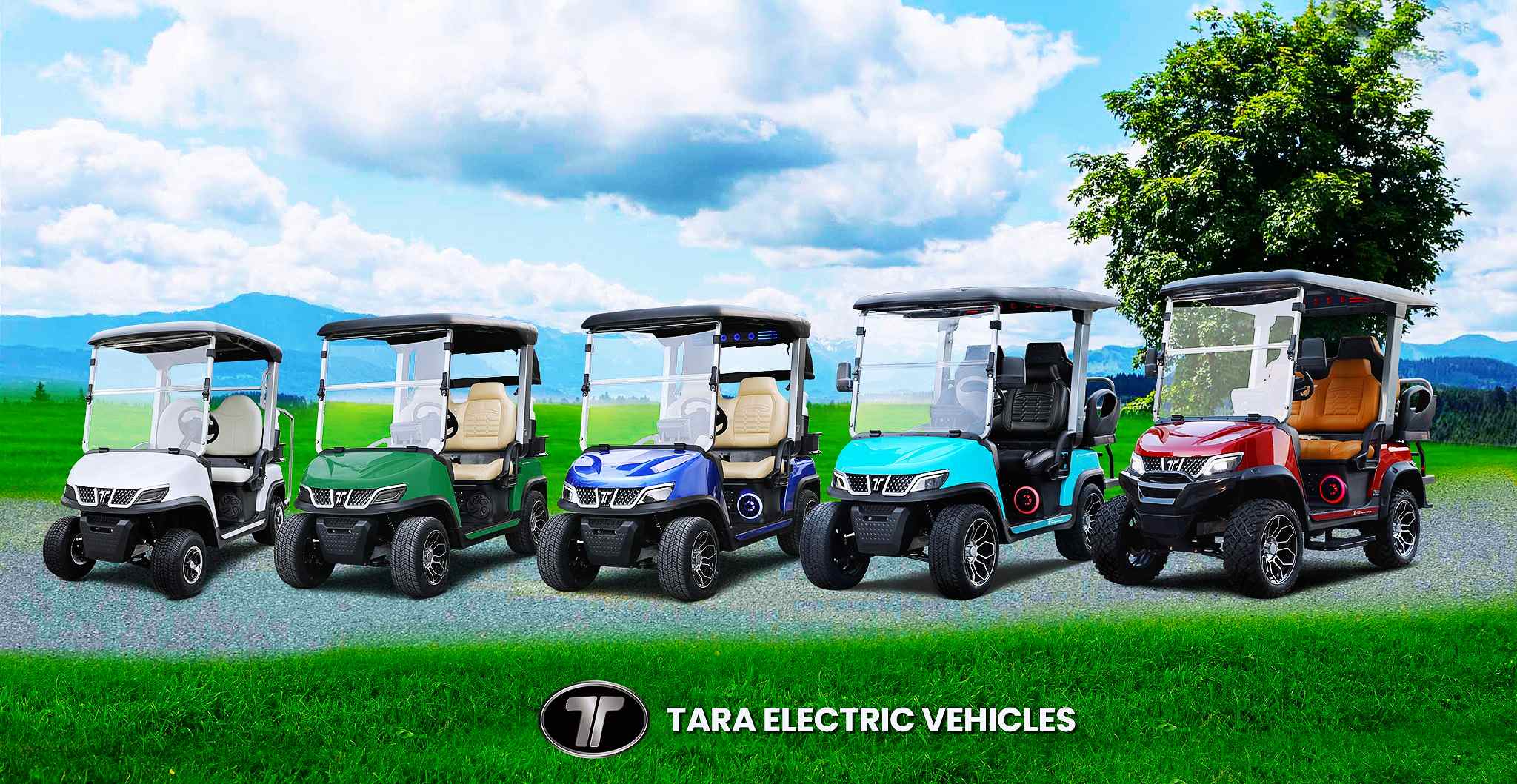 TARA Utility Task Vehicles (UTV) With Lithium Battery