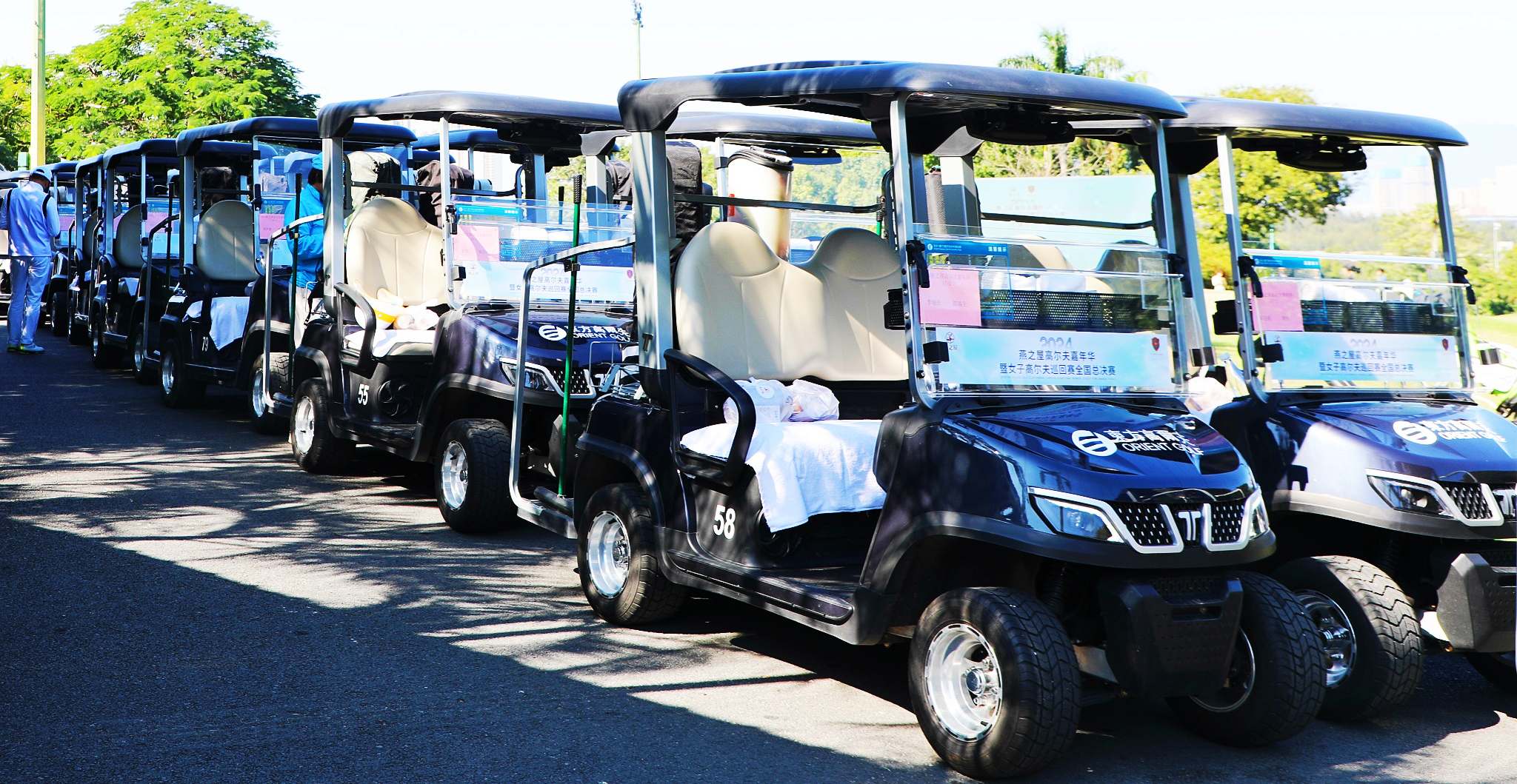 Fleet of Tara Custom Buggies at Resort