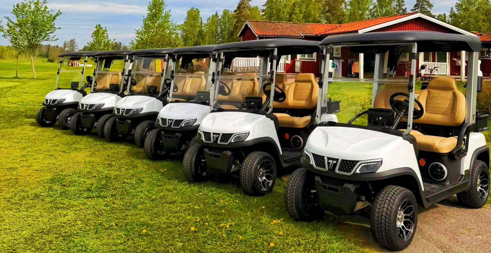 golf-fleet-vehicles