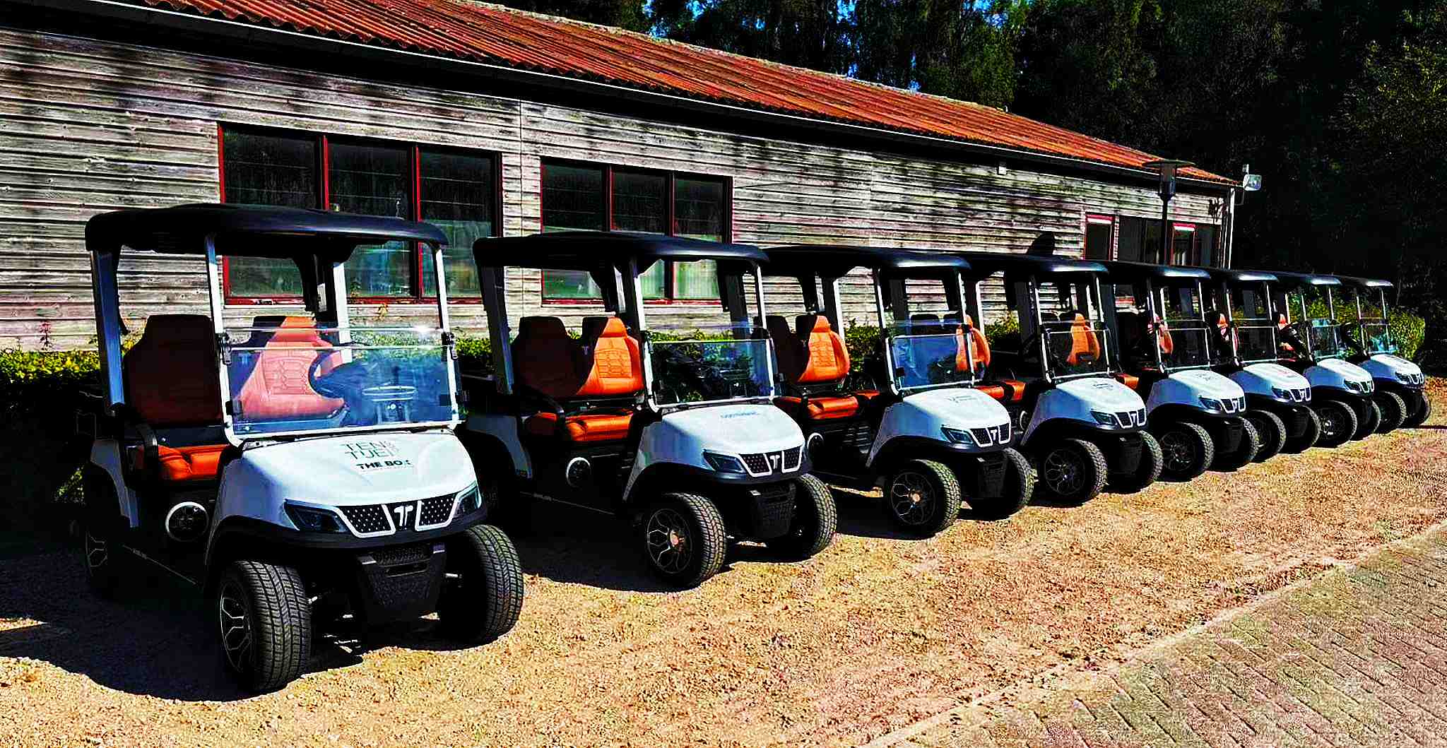 gas-powered-golf-cart-battery-guide