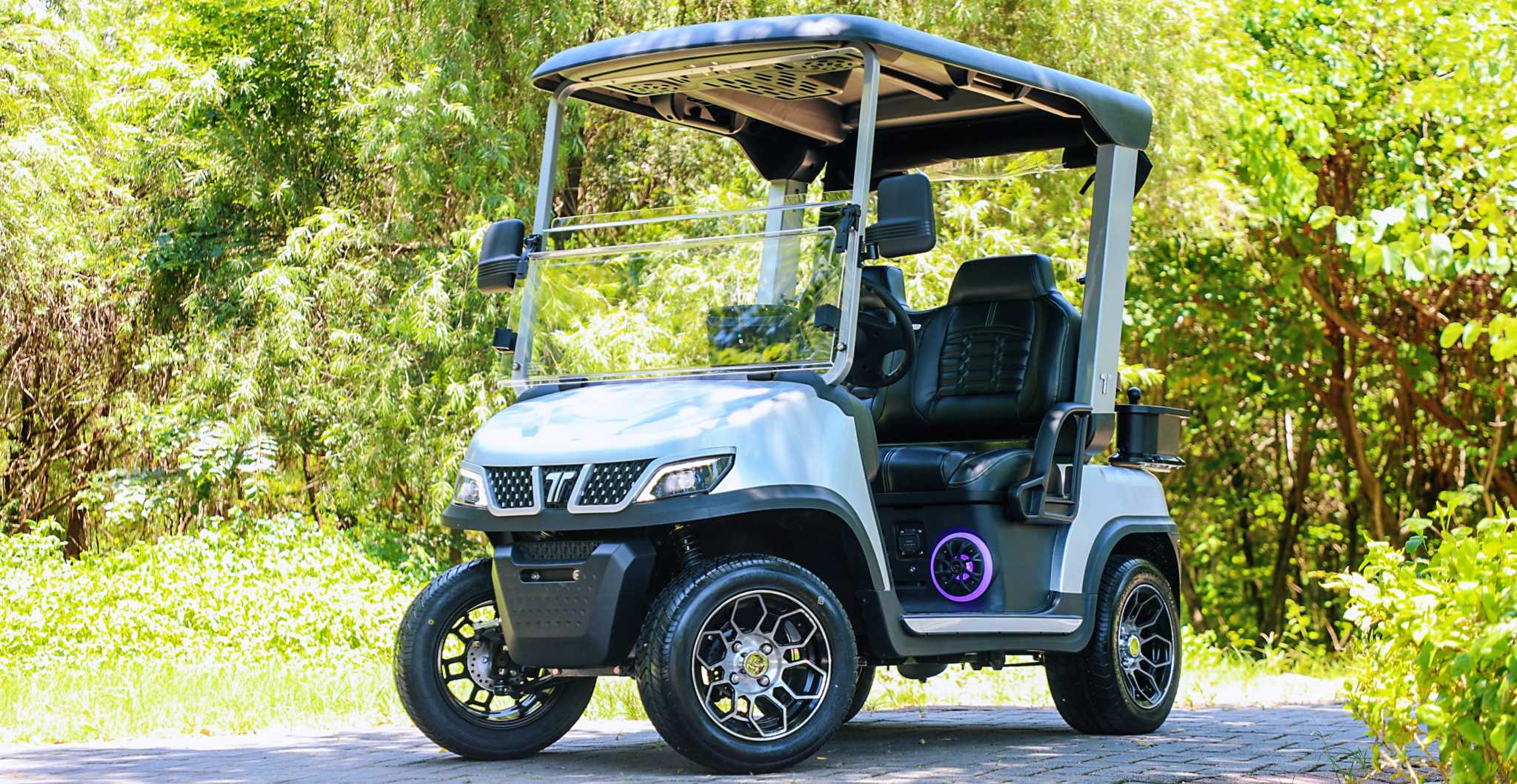 Tara Lithium Utility Task Vehicle with 48V Battery