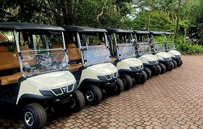 When Should a Course Replace Its Cart Fleet?