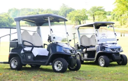 Optimize Your Operations with a Smart Golf Fleet
